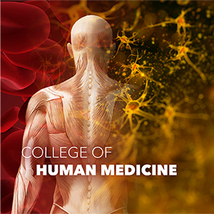 Graphic image representing human medicine