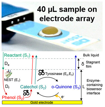 electrode array