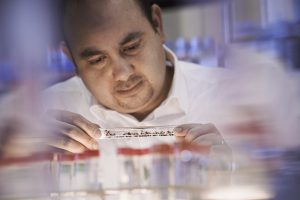 image of Ehab Abouheif in a lab examining a dish with ants in it.