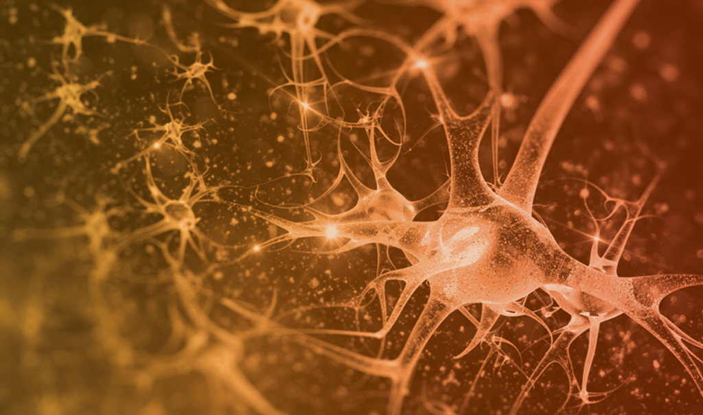 digital illustration of brain neurons