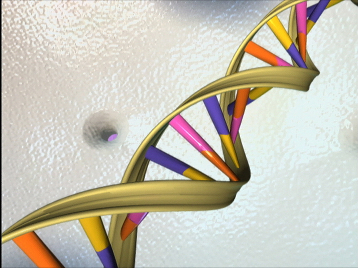 a colorful rendering of a DNA double helix