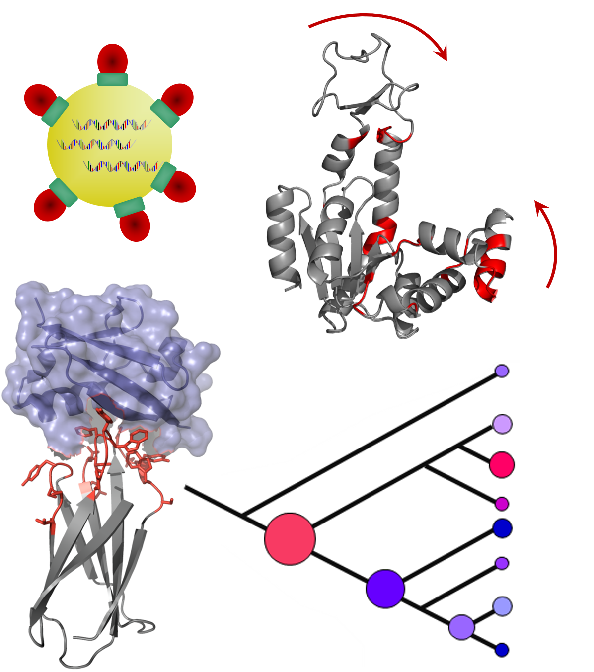 Protein Engineering Experimental and Computational Approaches for