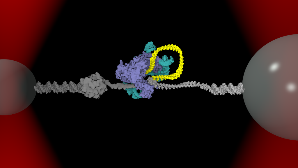 Cell Experiments With Optical Tweezers Are Revolutionising Biomedicine